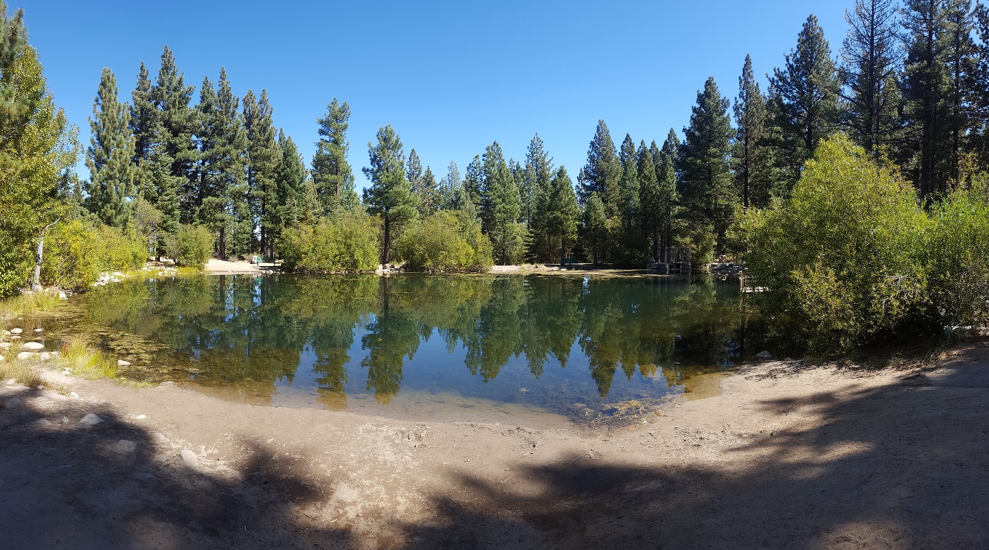 Marilyns Pond